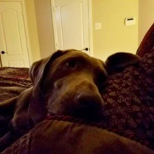 Meet your Posher, Catherine